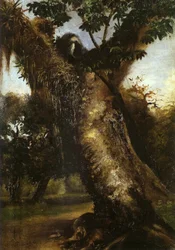 Paesaggio